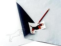 GRAFITTPAPIR